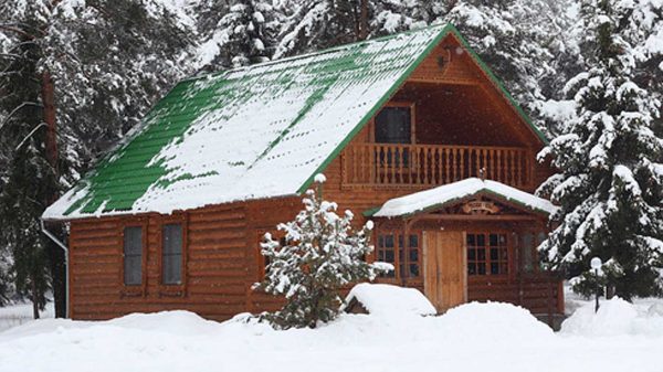Log Home Exterior Layout - Snowhill