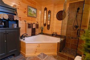 Bathroom Interior - Carriagerun