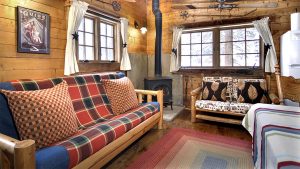 Log Cabin Living Room - Buckcreek