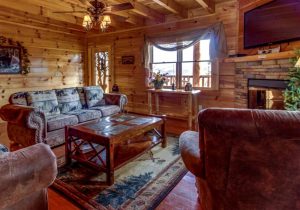 Log Cabin Living Room - Carolina