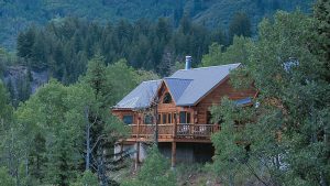 Log Home Exterior - Riverview