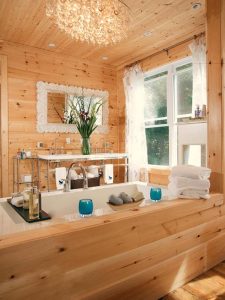 Bathroom Interior - Elk Horn