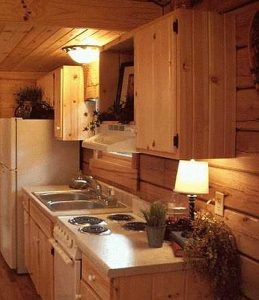 Log Cabin Kitchen - Elkin