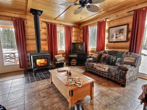 Log Home Living Room Area - Santee