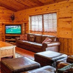 Cabin Living Room - Hartland