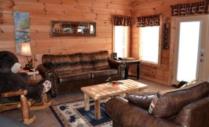 Log Cabin Living Room - Hiddenvalley