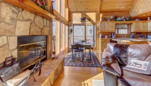 Living Area with Open Kitchen - Larkspur