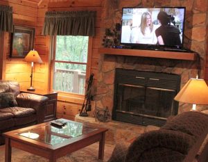 Log Cabin Living Room - Walnut Creek