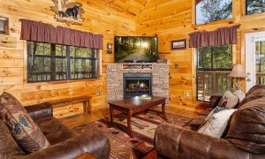 Living Room with Fireplace - Newport