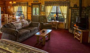 Living Room Area with Fireplace - North Lake