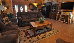 Living Room Area - Oxbow