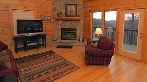 Living Area with Fire place - Pheasant Run
