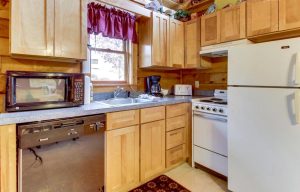 Small Cabin Kitchen - Ravenna