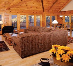 Living Room Interior - River Bluff