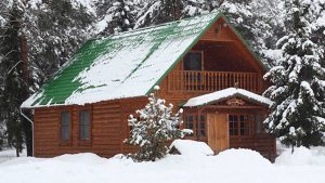 Log Home Exeterior - Snow Hill