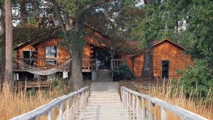 Log Home Exterior - Southern Pine