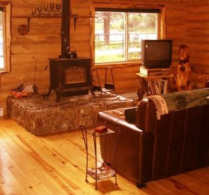Log Cabin living Room - Sycamoreidge