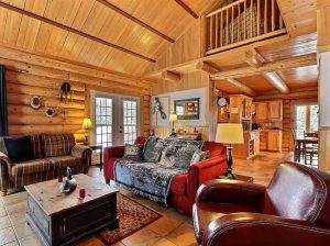 Log Home Living Room - Warren