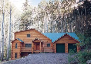 Log Home Exterior - Whitebirch