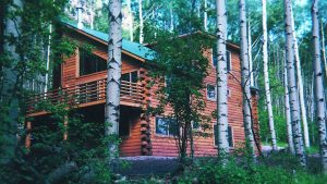 Log House Exterior Layout - Whitebirch