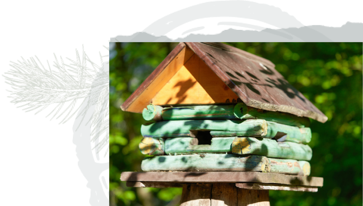 Log Cabin Bird House