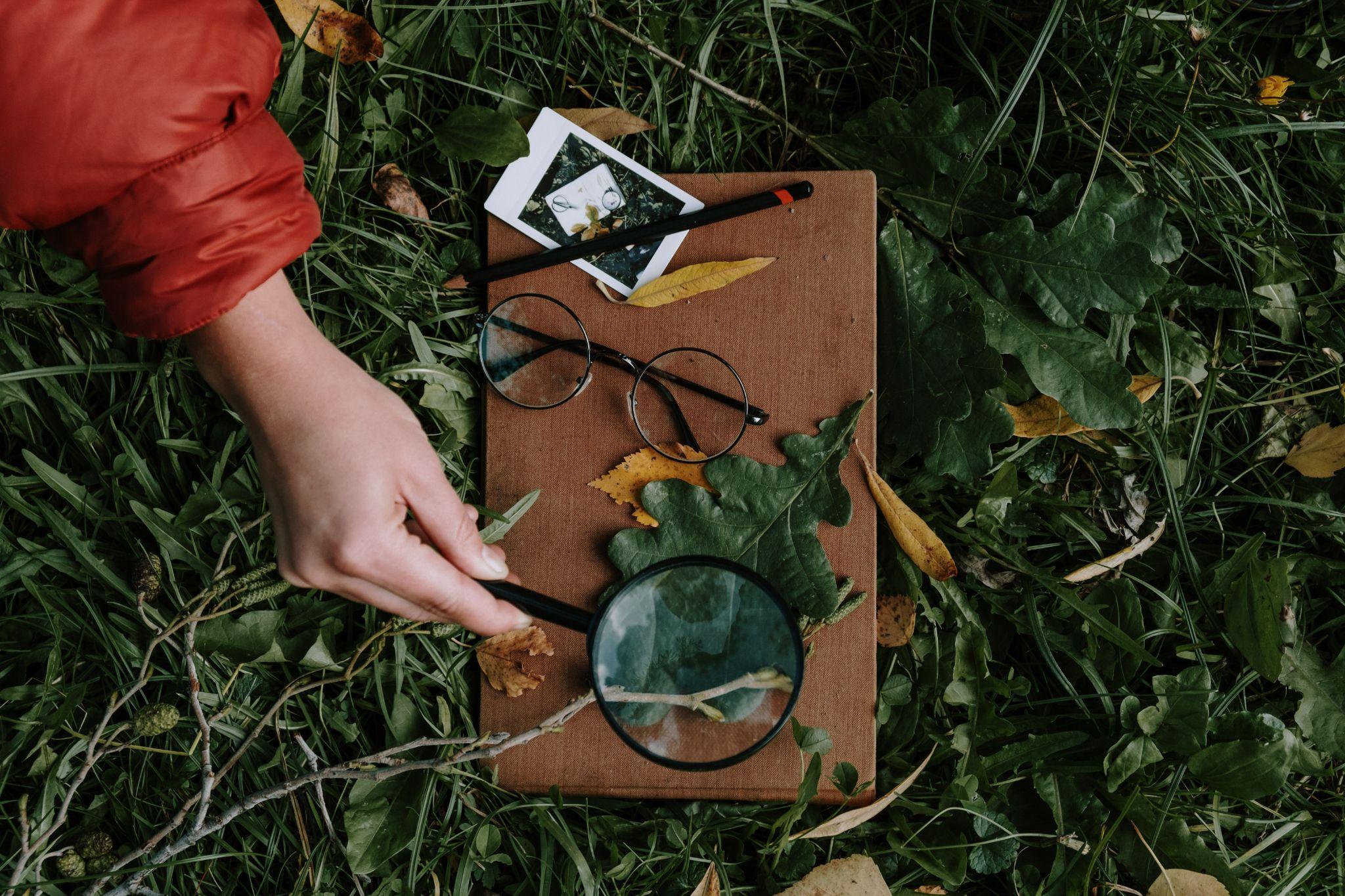 Person Holding of a Magnifying Glass on a Green Leaf 