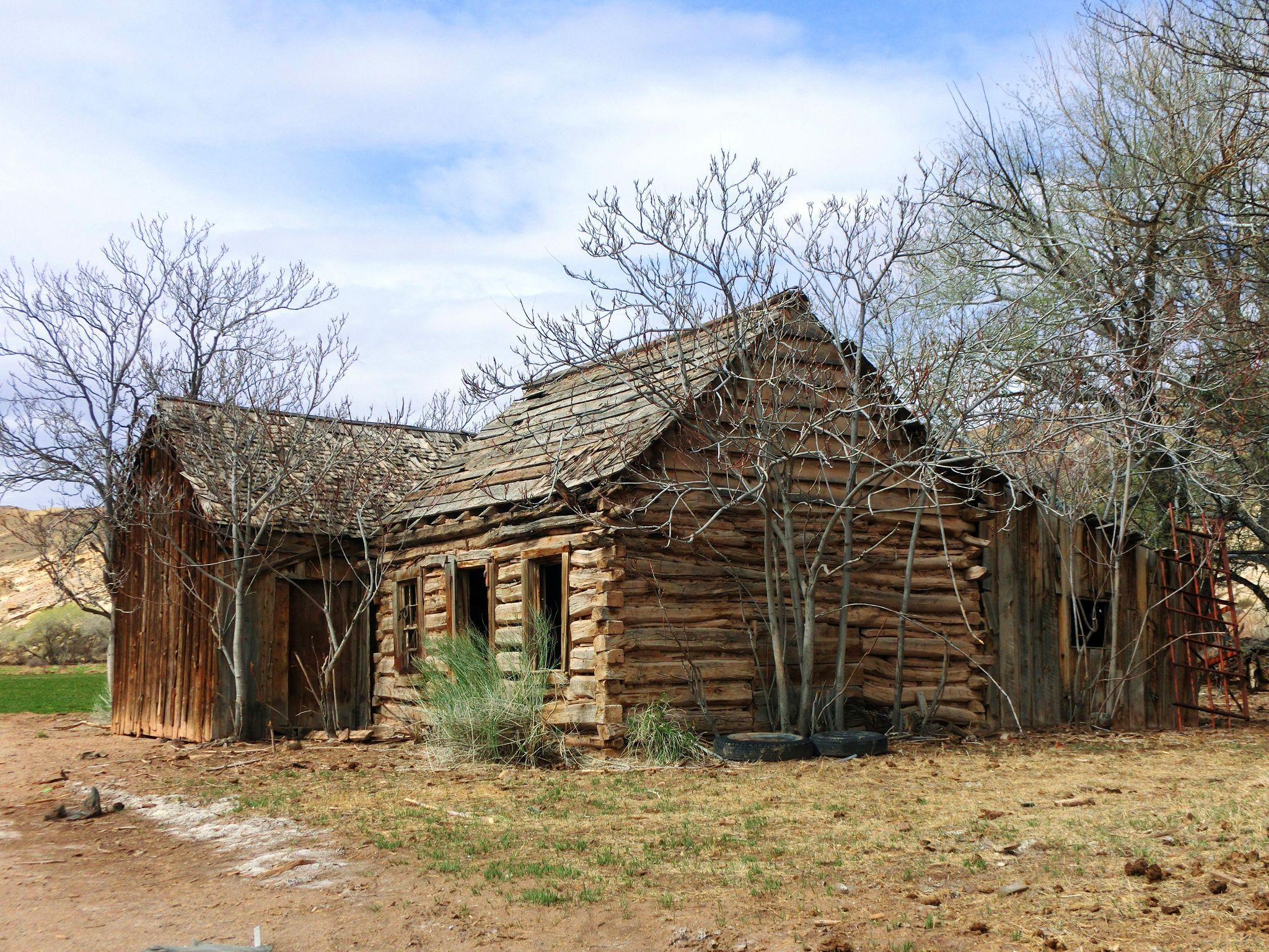 Early American log homes