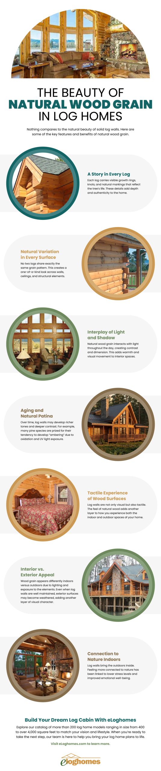 The Beauty of Natural Wood Grain Final Infographic